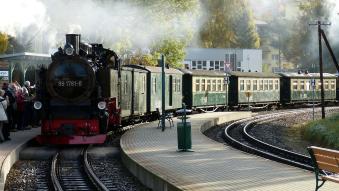 to-reprimand-1038870_Bild von falco auf Pixabay